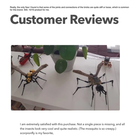 Butterfly 🦋 Insect Series Bug Collection - Picture 6 of 7